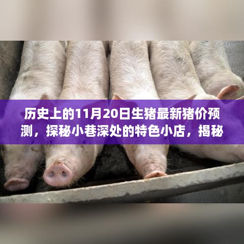 揭秘历史最新猪价预测与小巷深处特色小店的探秘之旅