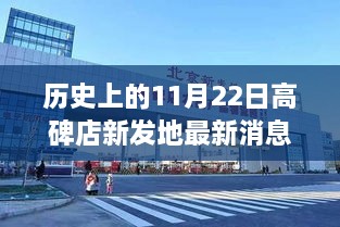 高碑店新发地市场历史变迁与最新发展纪实，最新消息揭秘市场成长之路的里程碑时刻（11月22日）