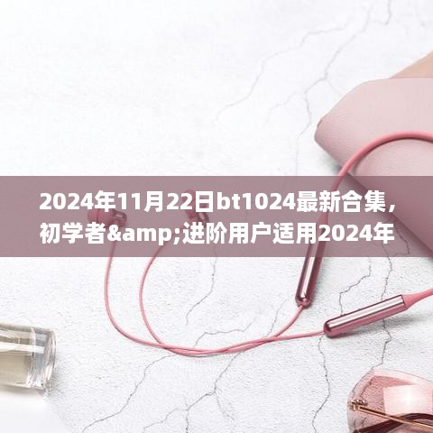 初学者与进阶用户指南，2024年bt1024最新合集获取与使用详解步骤指南