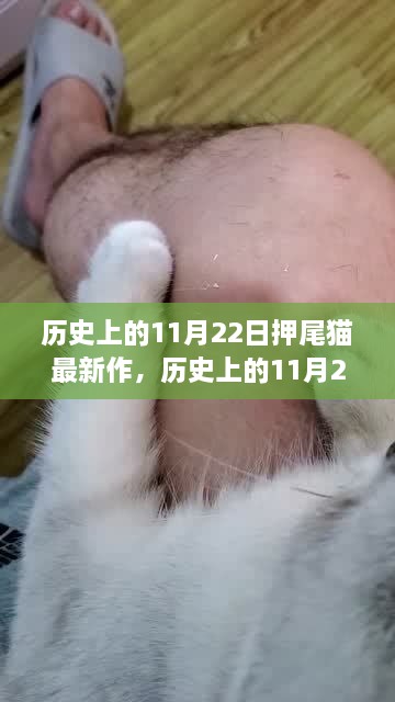 历史上的11月22日押尾猫最新作，深度测评与详细介绍