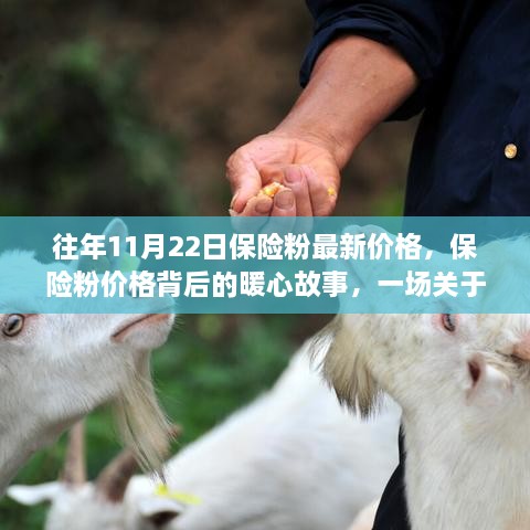 友情与陪伴的秋日记忆，保险粉最新价格背后的暖心故事 11月22日行情分享