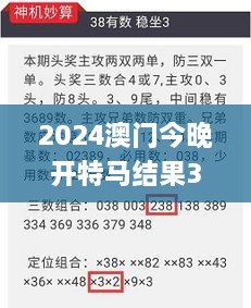 2024澳门今晚开特马结果329期,实践调查解析说明_TXT2.72.78可变版