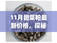 探秘小巷甜菜粕宝藏，最新价格与独特环境揭秘