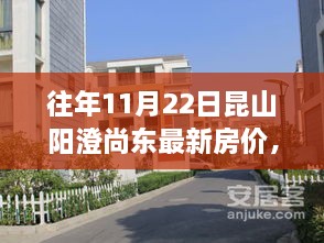 昆山阳澄尚东地区历年11月房价解析，最新房价信息及查询全攻略（初学者与进阶用户必看）