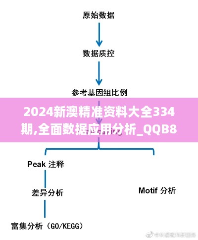 2024新澳精准资料大全334期,全面数据应用分析_QQB8.12.33内容版