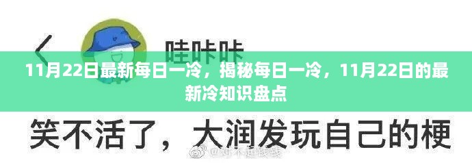 11月22日最新冷知识盘点，揭秘每日一冷的秘密