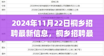 2024年11月22日桐乡最新招聘信息及人才市场动向解析