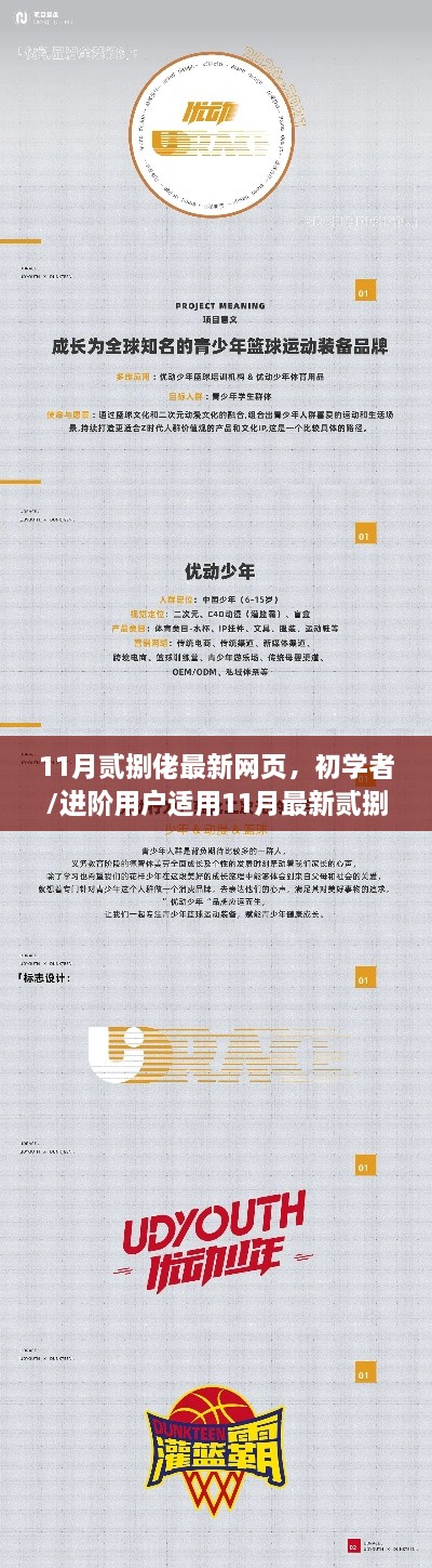 11月最新贰捌网页探索与操作指南，适合初学者与进阶用户的实用指南