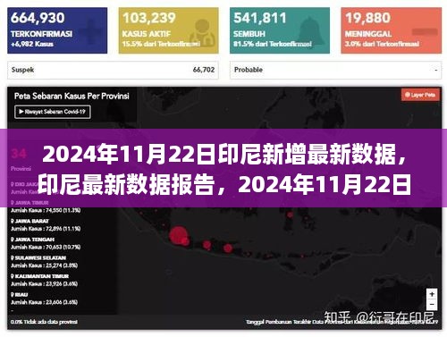 2024年11月22日印尼最新数据报告，新里程碑达成