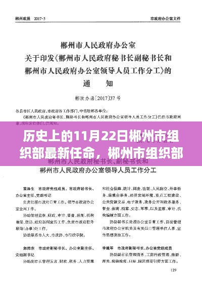 历史视角下的郴州市组织部新任命的深度解读