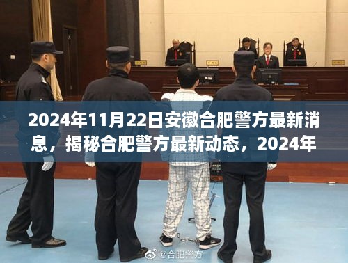 安徽合肥警方最新动态揭秘，2024年11月22日最新消息汇总