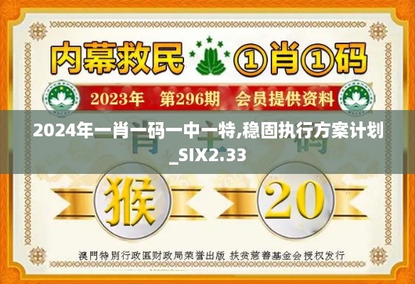 2024年一肖一码一中一特,稳固执行方案计划_SIX2.33