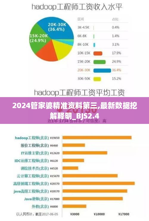 2024管家婆精准资料第三,最新数据挖解释明_BJS2.4