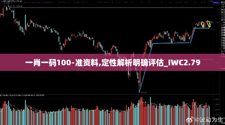 一肖一码100-准资料,定性解析明确评估_IWC2.79