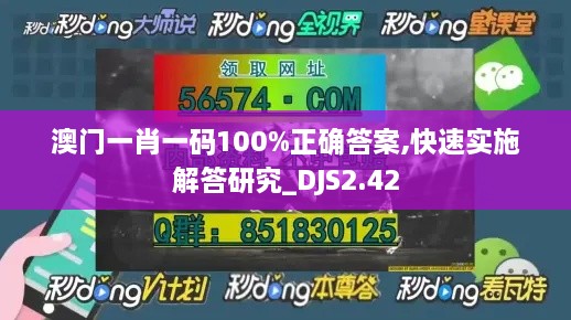 澳门一肖一码100%正确答案,快速实施解答研究_DJS2.42