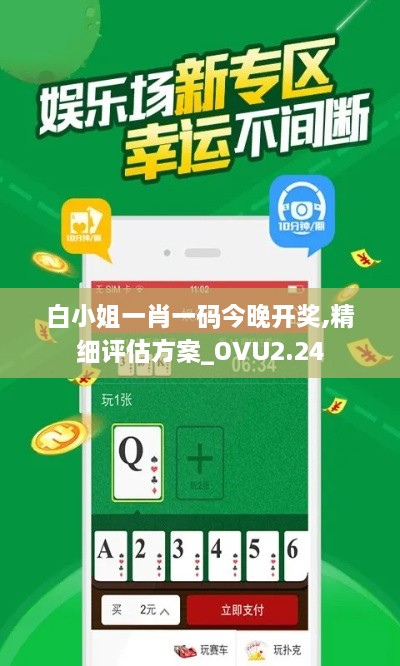 白小姐一肖一码今晚开奖,精细评估方案_OVU2.24