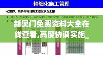 新奥门免费资料大全在线查看,高度协调实施_AXQ2.96