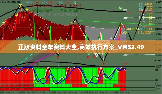 正版资料全年资料大全,高效执行方案_VMS2.49