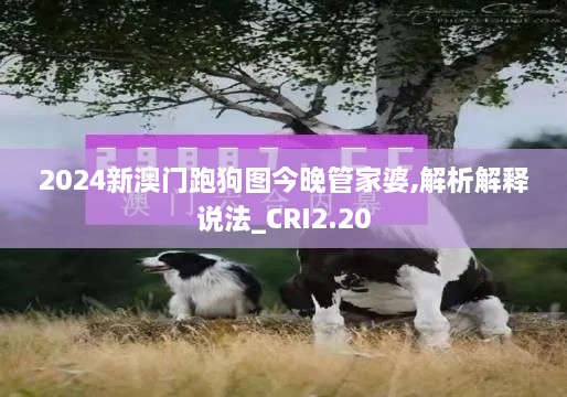 2024新澳门跑狗图今晚管家婆,解析解释说法_CRI2.20