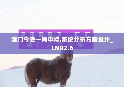 澳门今晚一肖中特,系统分析方案设计_LNR2.6