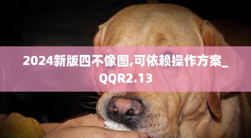 2024新版四不像图,可依赖操作方案_QQR2.13