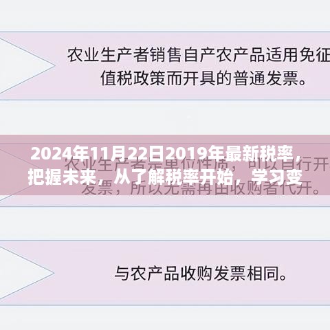 最新税率解读与未来规划，了解税率变化，成就自信人生之路（2024年11月22日)