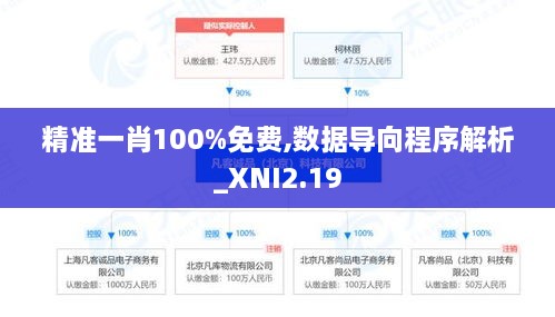 精准一肖100%免费,数据导向程序解析_XNI2.19