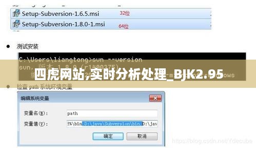 四虎网站,实时分析处理_BJK2.95