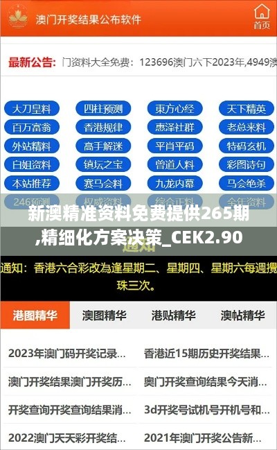 新澳精准资料免费提供265期,精细化方案决策_CEK2.90