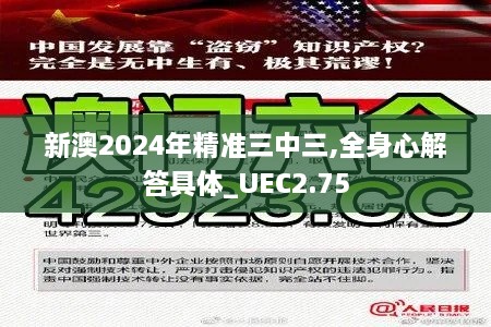 新澳2024年精准三中三,全身心解答具体_UEC2.75