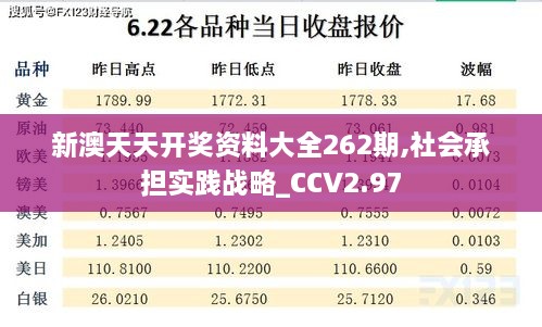 新澳天天开奖资料大全262期,社会承担实践战略_CCV2.97