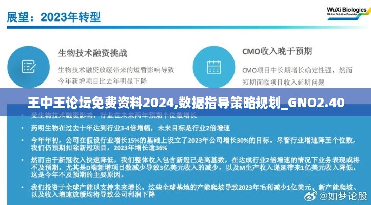 王中王论坛免费资料2024,数据指导策略规划_GNO2.40