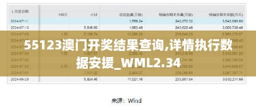 55123澳门开奖结果查询,详情执行数据安援_WML2.34