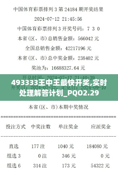 493333王中王最快开奖,实时处理解答计划_PQO2.29