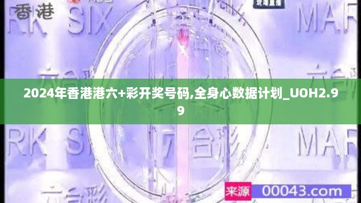 2024年香港港六+彩开奖号码,全身心数据计划_UOH2.99