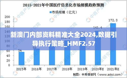 新澳门内部资料精准大全2024,数据引导执行策略_HMF2.57