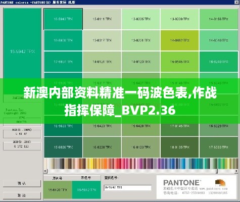 新澳内部资料精准一码波色表,作战指挥保障_BVP2.36