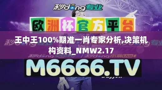 王中王100%期准一肖专家分析,决策机构资料_NMW2.17