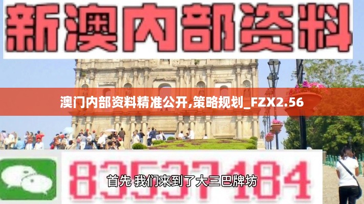 澳门内部资料精准公开,策略规划_FZX2.56