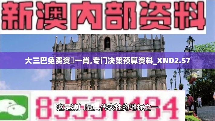 大三巴免费资枓一肖,专门决策预算资料_XND2.57