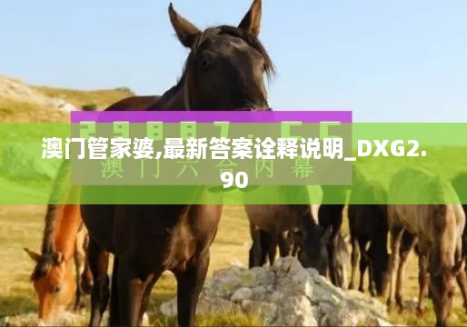 澳门管家婆,最新答案诠释说明_DXG2.90