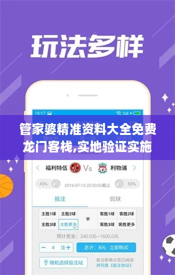 管家婆精准资料大全免费龙门客栈,实地验证实施_SDY2.57