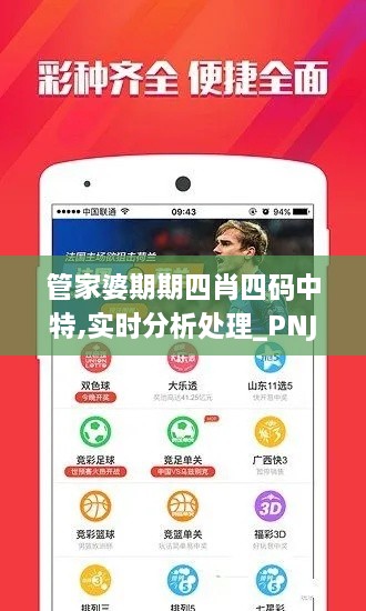 管家婆期期四肖四码中特,实时分析处理_PNJ2.37