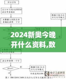 2024新奥今晚开什么资料,数据引导执行策略_HMK2.39