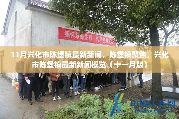 兴化市陈堡镇十一月最新新闻聚焦概览