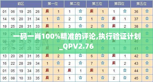 一码一肖100%精准的评论,执行验证计划_QPV2.76