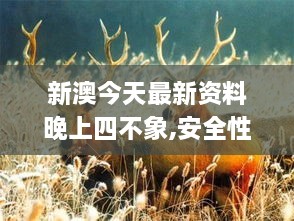 新澳今天最新资料晚上四不象,安全性方案执行_UMM2.34