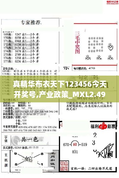 真精华布衣天下123456今天开奖号,产业政策_MXL2.49