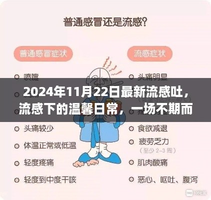 流感下的温馨日常，一场不期而遇的友情之旅（2024年11月22日最新）