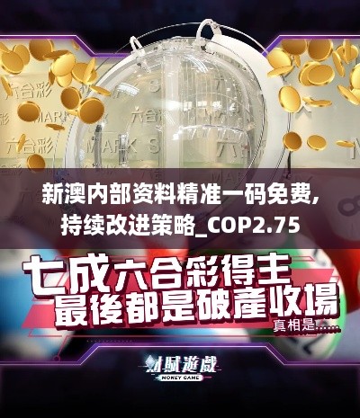 新澳内部资料精准一码免费,持续改进策略_COP2.75